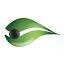 Cellfion logo
