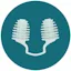 NOSA logo