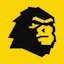 SalesKong logo